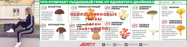 дурь Алексеевка
